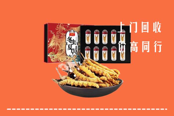 收购行情：南宁市回收虫草